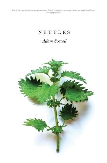 Nettles - cover