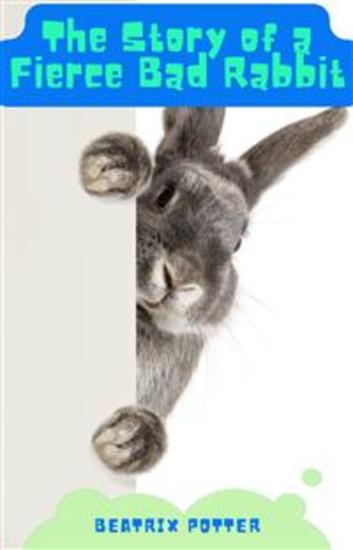 The Story of A Fierce Bad Rabbit - cover