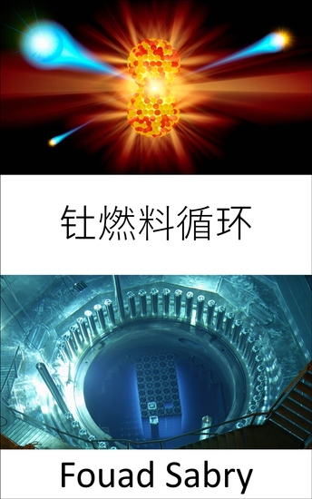 钍燃料循环 - 建造没有铀燃料的核反应堆 - cover