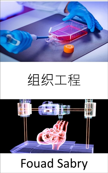 组织工程 - 恢复、维持或改善受损组织或整个器官 - cover