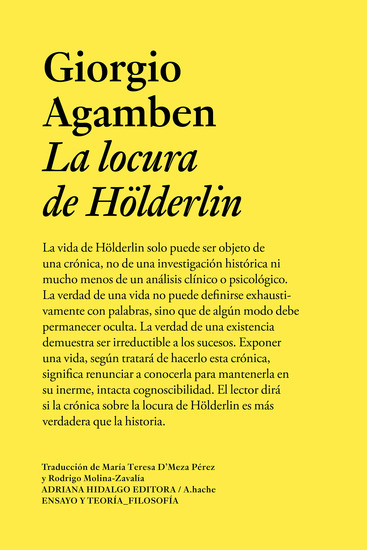 La locura de Hölderlin - Crónica de una vida habitante 1806-1843 - cover