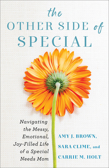 The Other Side of Special - Navigating the Messy Emotional Joy-Filled Life of a Special Needs Mom - cover