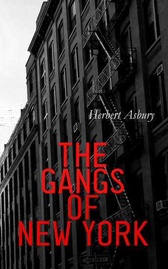 The Gangs of New York - Informal History of the Underworld - cover