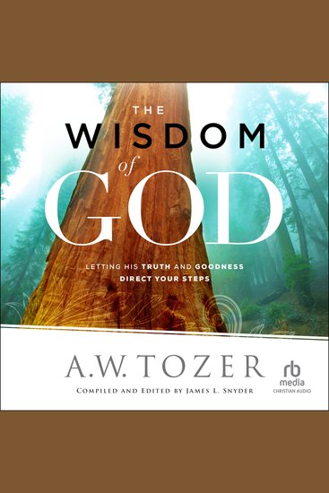 The Wisdom of God - Letting His Truth and Goodness Direct Your Steps - cover