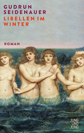 Libellen im Winter - Roman - cover