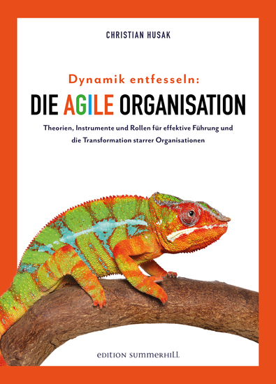 Dynamik entfesseln: Die agile Organisation - Theorien Instrumente und Rollen für effektive Führung und die Transformation starrer Organisationen - cover