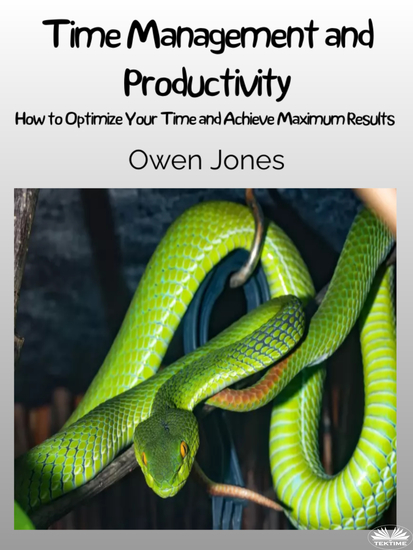 Time Management And Productivity - How To Optimise Your Time And Achieve Maximum Results! - cover