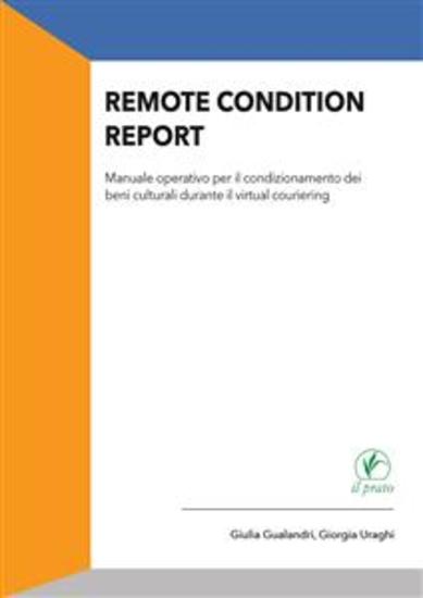 Remote condition report - Manuale operativo per il condizionamento dei beni culturali durante il virtual couriering - cover