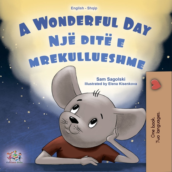 A wonderful Day Një ditë e mrekullueshme - English Albanian Bilingual Book for Children - cover