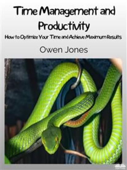 Time Management And Productivity - How To Optimise Your Time And Achieve Maximum Results! - cover