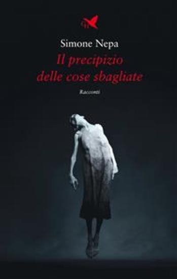 Il precipizio delle cose sbagliate - cover