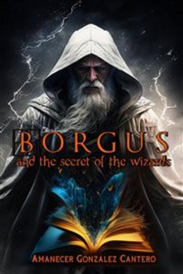 Borgus And The Secret Of The Wizards - cover