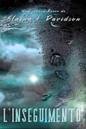 L'inseguimento - cover