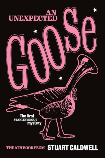 An Unexpected Goose - A breathtakingly whimsical tale CONCERNING a precocious flugelhornist and a man with three nostrils - cover