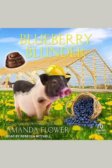 Blueberry Blunder - cover