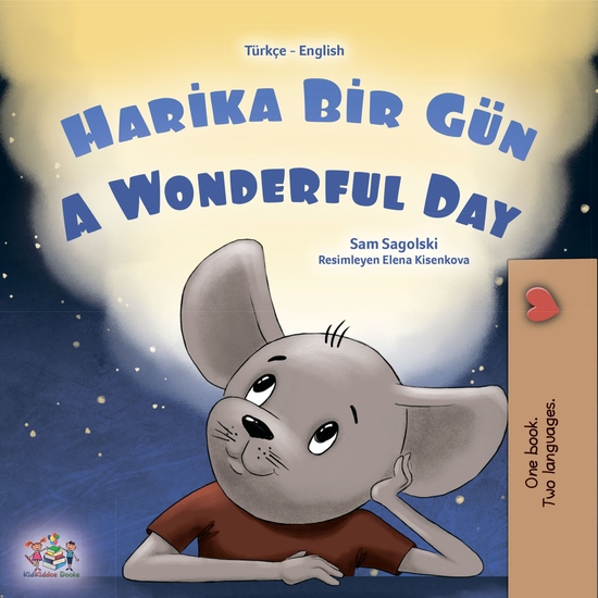 Harika Bir Gün A wonderful Day - cover