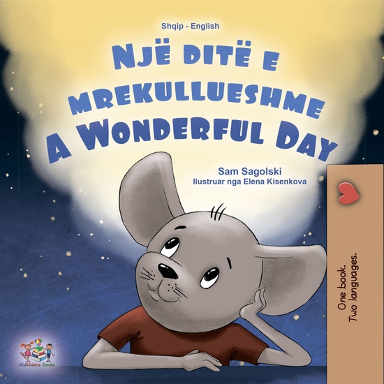 Një ditë e mrekullueshme A wonderful Day - cover
