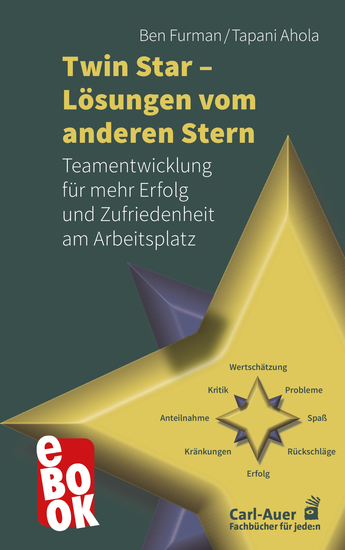 Twin Star - Lösungen von anderen Stern - Teamentwicklung für mehr Erfolg und Zufriedenheit am Arbeitsplatz - cover
