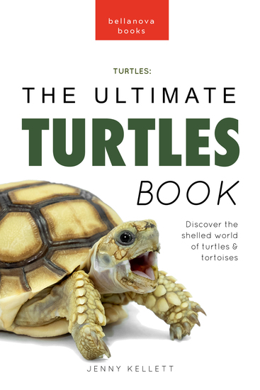 Turtles The Ultimate Turtles Book - Discover the Shelled World of Turtles & Tortoises - cover