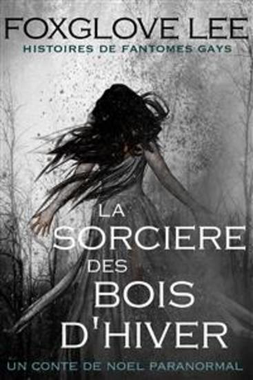 La sorcière des bois d'hiver - Un conte de Noël paranormal - cover