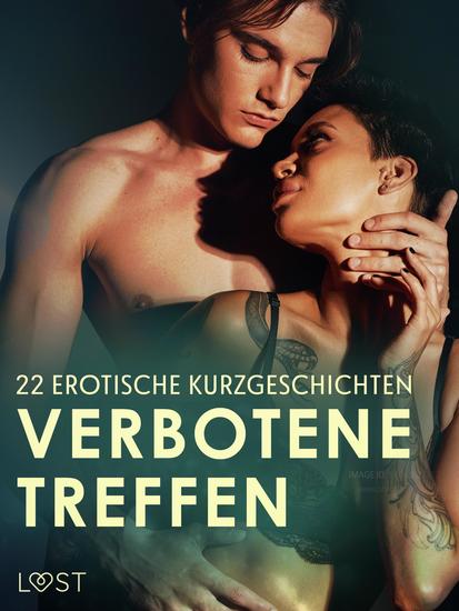 Verbotene Treffen: 22 erotische Kurzgeschichten - cover
