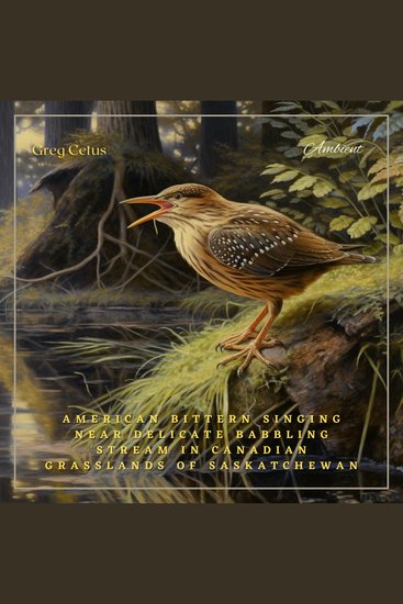 American Bittern Singing Near Delicate Babbling Stream in Canadian Grasslands of Saskatchewan - Ambient Audio for Deep Sleep and Relaxation - cover