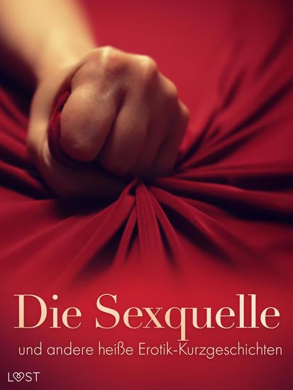 Die Sexquelle und andere heiße Erotik-Kurzgeschichten - cover