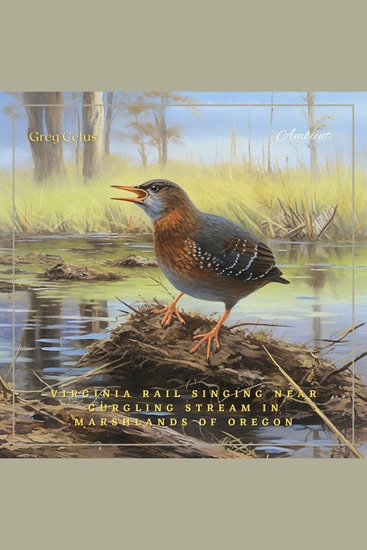 Virginia Rail Singing Near Gurgling Stream in Marshlands of Oregon - Atmospheric Audio for Productivity and Focus - cover