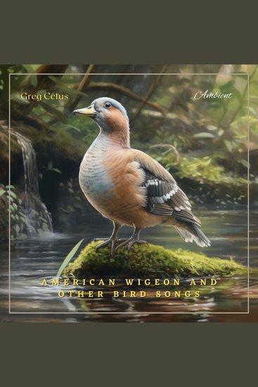 American Wigeon and Other Bird Songs - Ambient Audio from Canadian Wetlands - cover
