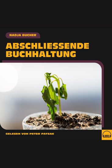 Abschließende Buchhaltung - cover
