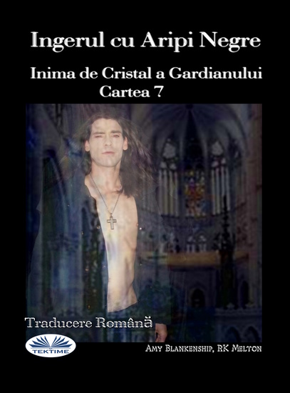 Ingerul Cu Aripi Negre - Inima De Cristal A Gardianului Cartea 7 - cover