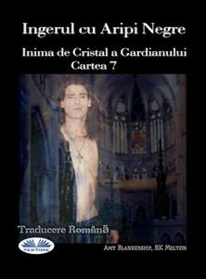 Ingerul Cu Aripi Negre - Inima De Cristal A Gardianului Cartea 7 - cover