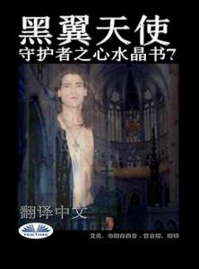 黑翼天使 - 守护者之心水晶书7 - cover