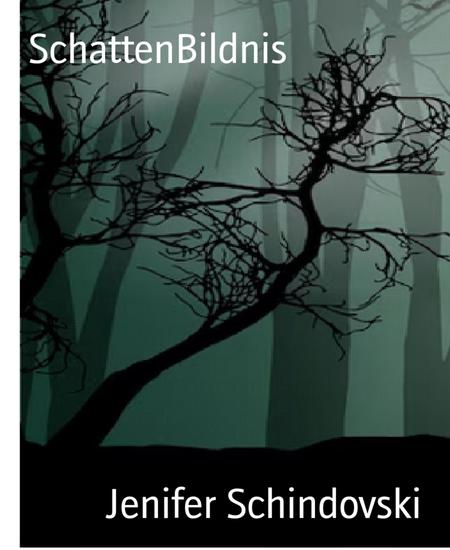 SchattenBildnis - cover