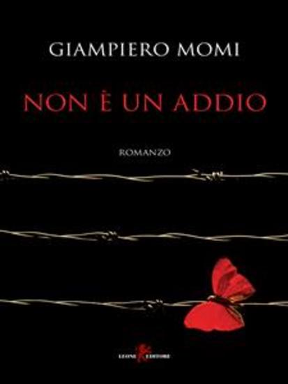 Non è un addio - cover