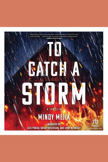 To Catch a Storm - A Thriller - cover