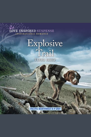 Explosive Trail - cover