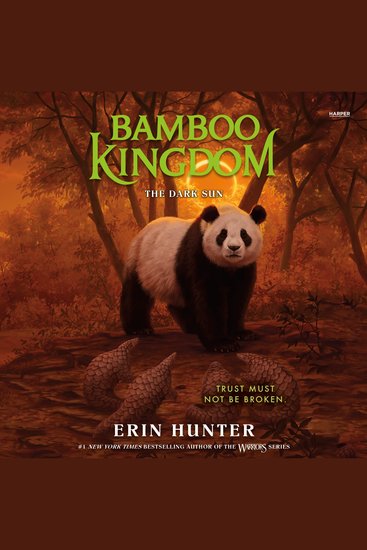 Bamboo Kingdom #4: The Dark Sun - cover