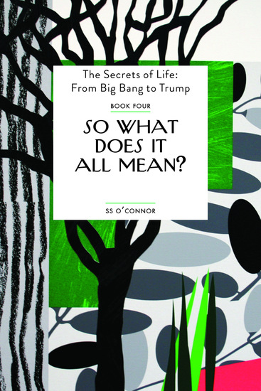 So What Does It All Mean? - The Secrets of Life: From Big Bang to Trump - cover