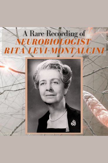 A Rare Recording of Neurobiologist Rita Levi-Montalcini - cover