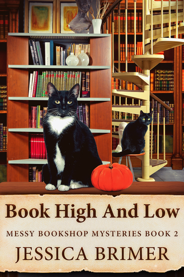 Book High And Low - cover