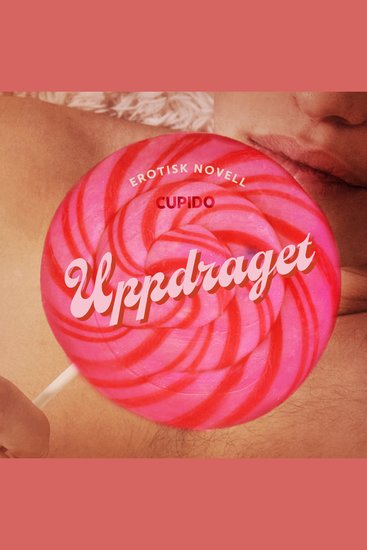 Uppdraget - erotisk novell - cover