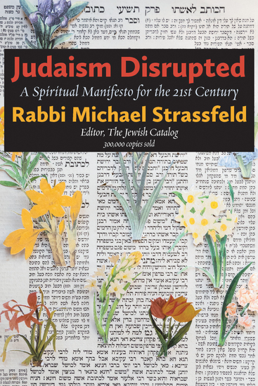 Judaism Disrupted - A Spiritual Manifesto for the 21st Century - cover