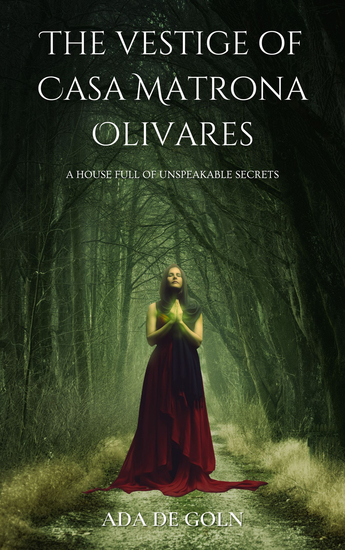 The vestige of Casa Matrona Olivares - cover