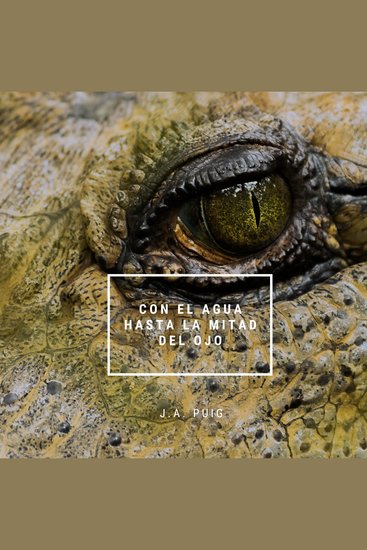 Con el agua hasta la mitad del ojo - cover