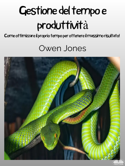 Gestione Del Tempo E Produttività - Come Ottimizzare Il Proprio Tempo Per Ottenere Il Massimo Risultato! - cover