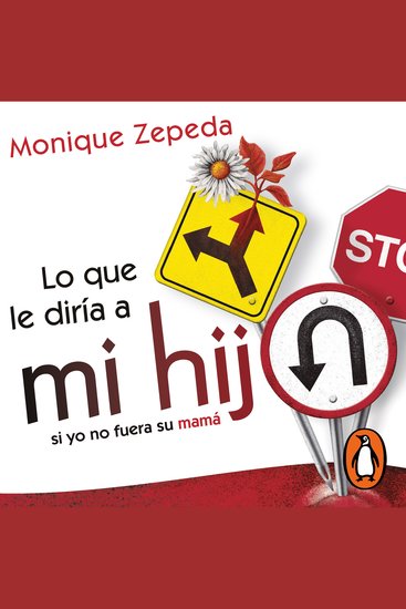 Lo que le diría a mi hijo si yo no fuera su mamá - cover