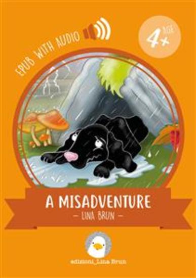 A Misadventure - with audio - cover