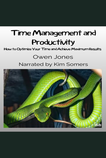 Time Management And Productivity - How To Optimise Your Time And Achieve Maximum Results! - cover