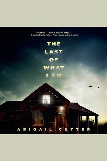 The Last of What I Am - cover